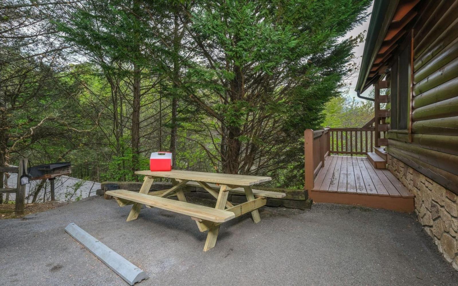 Siesta Ridge Villa Гетлинбург Екстериор снимка