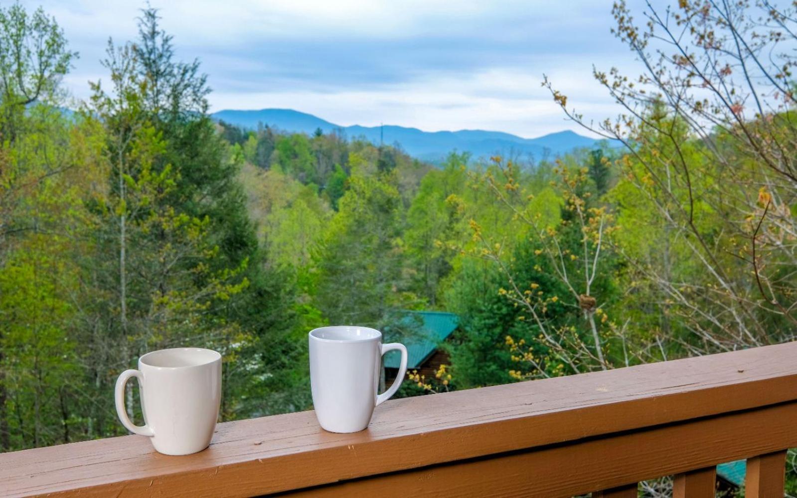 Siesta Ridge Villa Гетлинбург Екстериор снимка